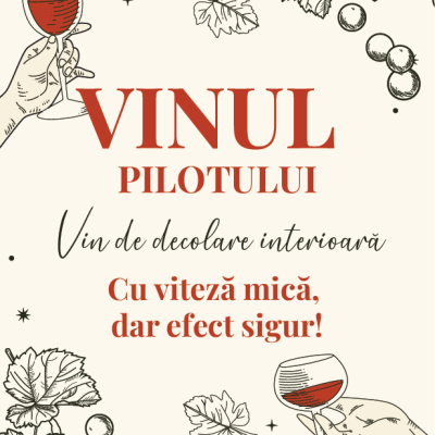 Etichetă pentru Sticla de Vin – Vinul Pilotulului